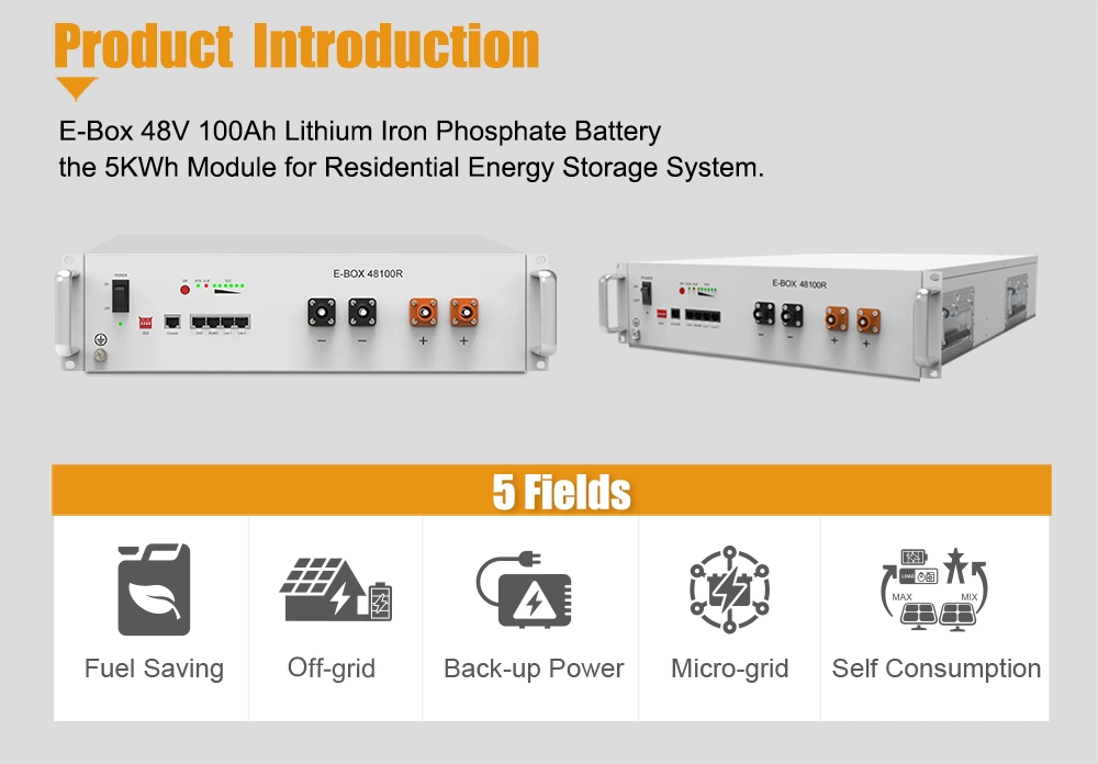 Pytes Lithium Ion Battery Deep Cycle Rechargeable LiFePO4 Battery Hybrid Solar System 48V 100ah Solar Storage Li Ion Battery Home Battery Module