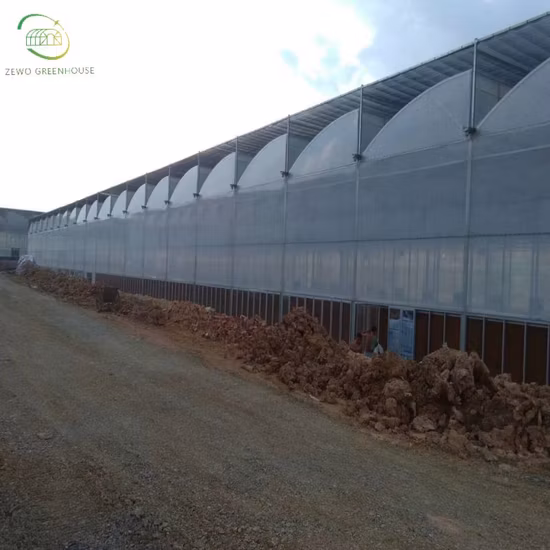 575W High Efficiency Tier 1 Topcon Half Cell 16bb Monocrystaline PV Solar Module Panel with 182mm Cells